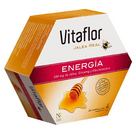 Vitaflor Energia 20 Ampollas